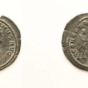 Coin 4