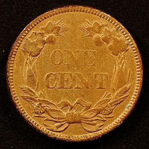 1858 Flying Eagle Small Cent Reverse