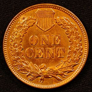 1900 Indian Head Bronze Small Cent Reverse