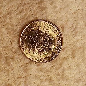 2017 D Dime Errors?? Help