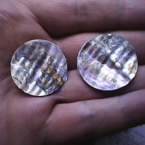Abalone Shell coins.