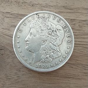 Silver dollar