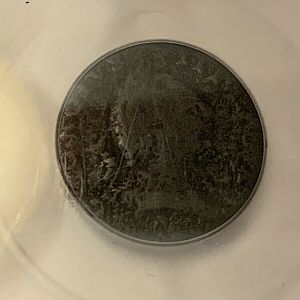 1773 Virginia half penny Obv