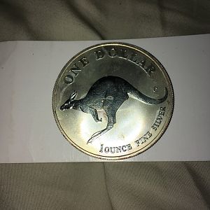 Kangaroo silver dollar