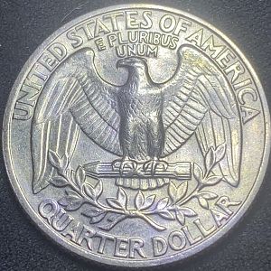 1977 find