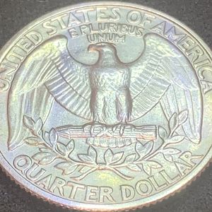 1977 find