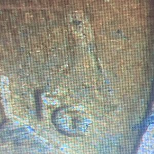 1996 cent possible DDR & dropped letter