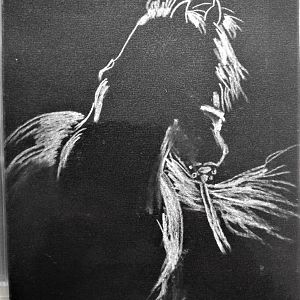 white charcoal
