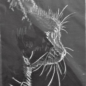 white charcoal