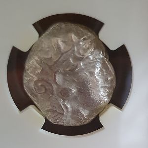 My First Coins