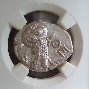 Athenian Owl  Slab