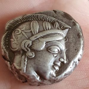 Athenian Owl
