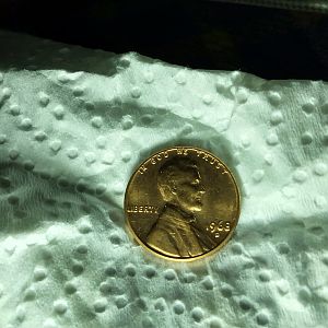 Coin