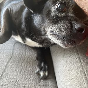 Riley