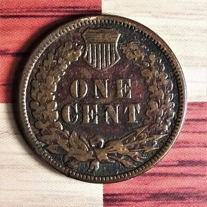 1880 reverse