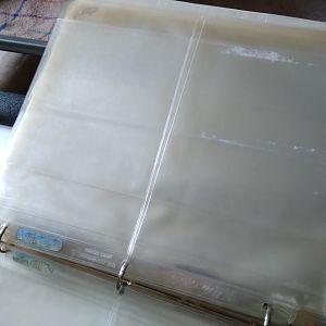 Discolored Bill Holders5