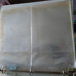 Discolored Bill Holders4