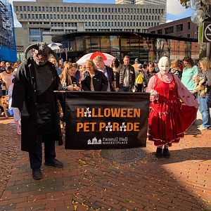 Onslaught - Boston Pet Parade - 2019