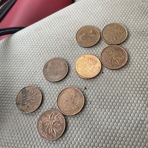 One roll