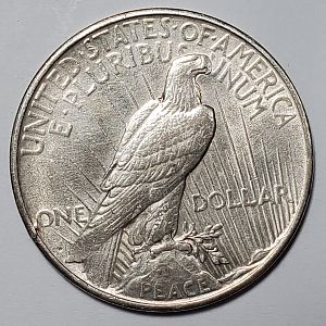 1922 Peace Dollar Revrse