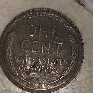 54 reverse