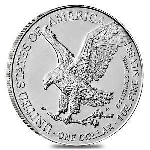 2021 Silver Eagle Type 2