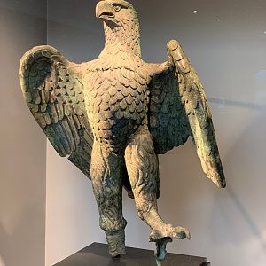 Roman Eagle