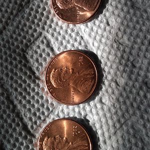 Nice reds