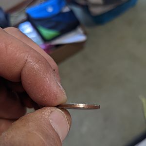 2007 quarter smooth edge