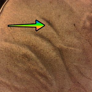 2019 W Lincoln Cent Proof