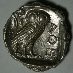 owl