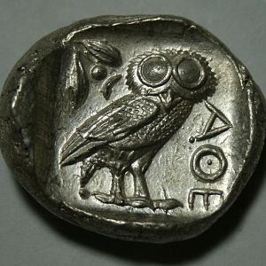 Other Owl