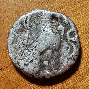 Reverse 1
