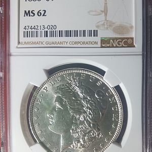 1886