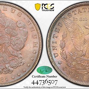 1884-O MS64 CAC Morgan $1