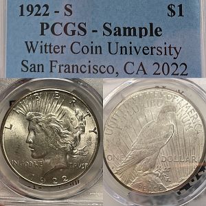 Witter Coin U Sample Slab