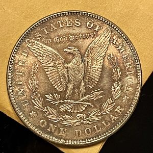 1878 Morgan Reverse