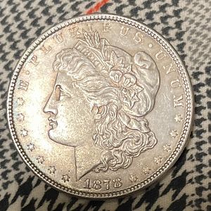 1878 Morgan actual color