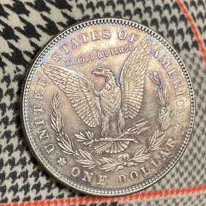1878 Morgan actual color
