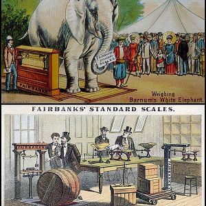 1904 scale