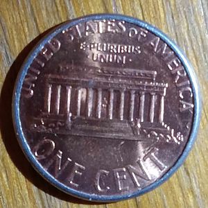 2005 Silver Rimmed Penny Back