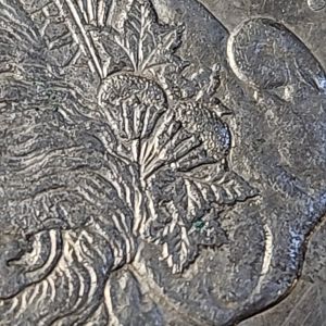 1921 S morgan
