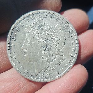 1885 CC Morgan (a lucky one)