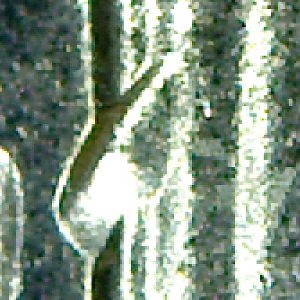 2020 P Roosevelt Rev 2 zoomed