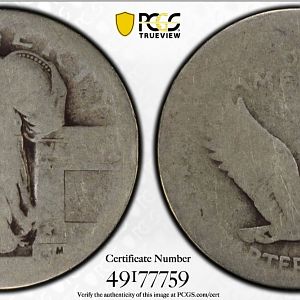1917 T1 P01