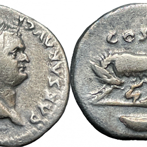 Domitian. As Caesar, AD 69-81. AR Denarius .
