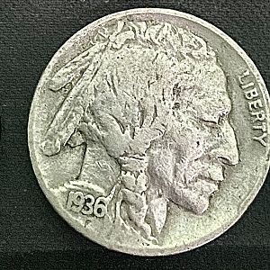 Raw Buffalo Nickels