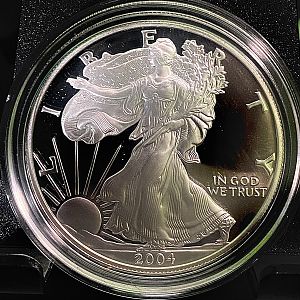 Raw Silver Eagles (Non-Scrap)