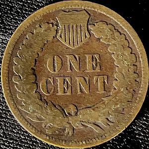 1893 Indian Head -  Reverse