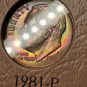 1981 - P